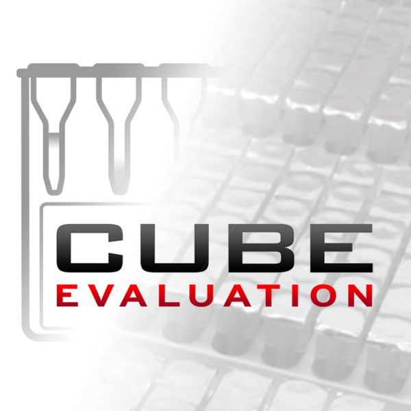 cubeEvaluation Logo
